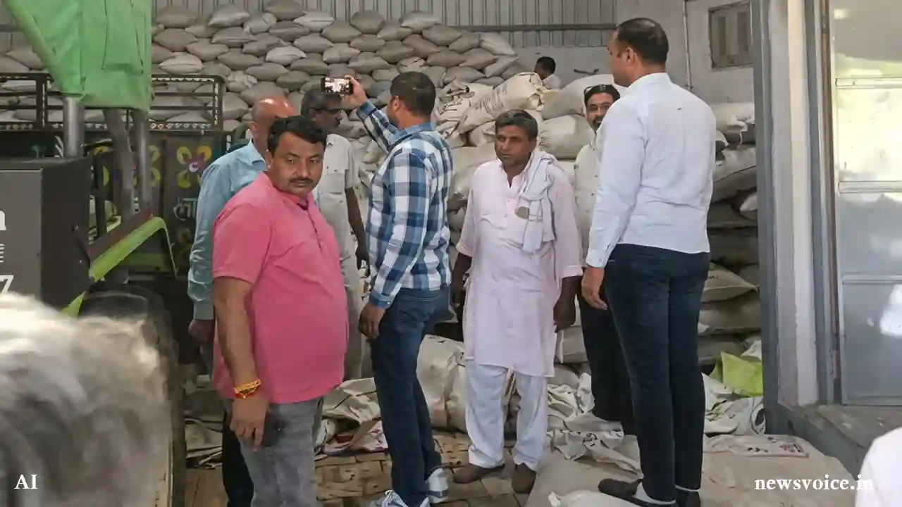 CM Flying Squad Raid in Kanina Mahendragarh